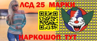 индика Можга