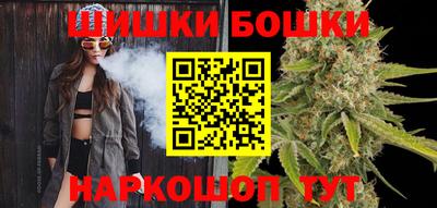 индика Можга