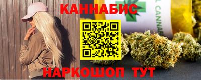 индика Можга