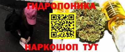 индика Можга