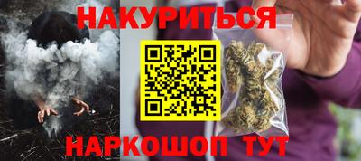 индика Можга