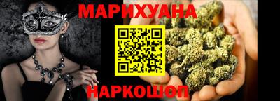 индика Можга