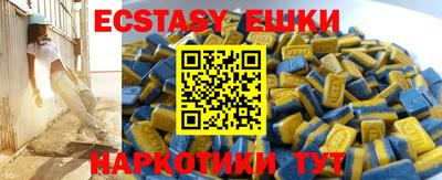 индика Можга