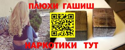 индика Можга