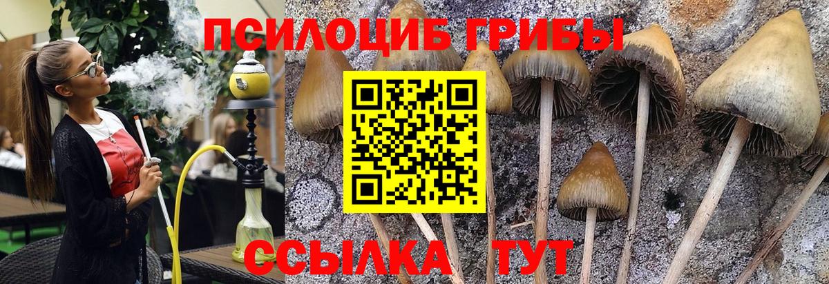 Псилоцибиновые грибы Magic Shrooms  Галлюциногенные грибы мицелий  Азов  Вход с VPN 
