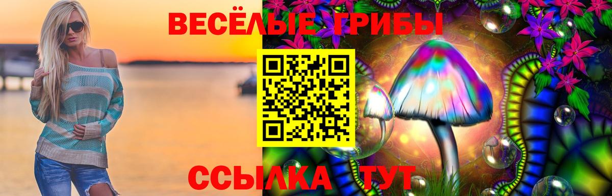 Псилоцибиновые грибы Magic Shrooms Азов